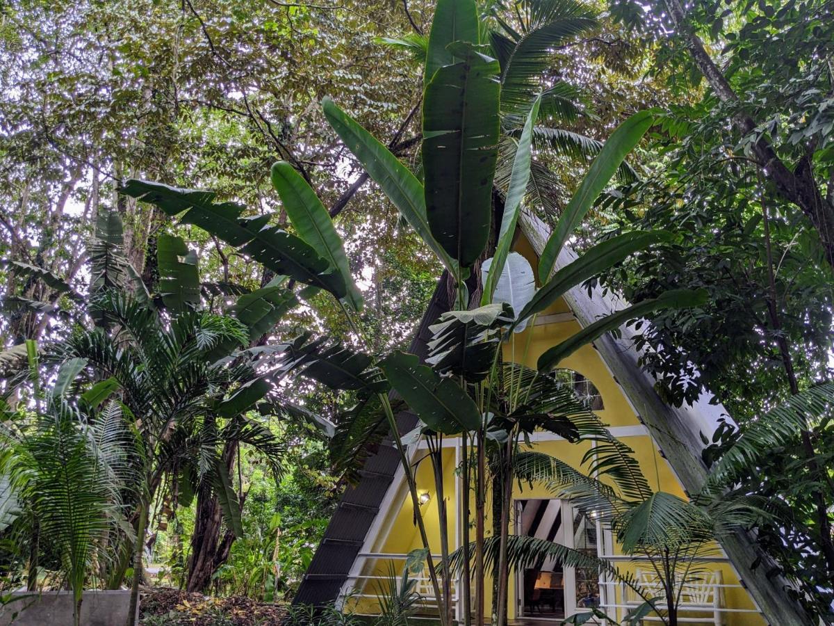 Caribbean Flow Puerto Viejo de Talamanca 外观 照片