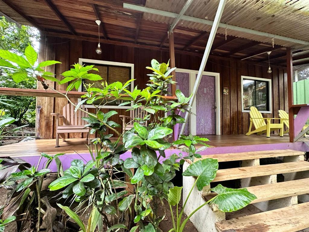 Caribbean Flow Puerto Viejo de Talamanca 外观 照片