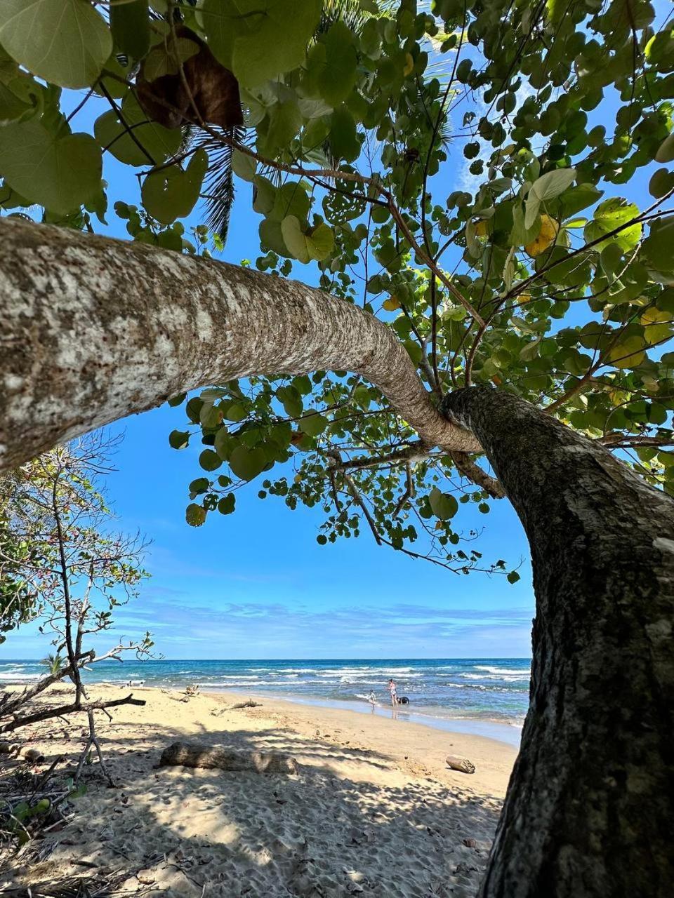 Caribbean Flow Puerto Viejo de Talamanca 外观 照片